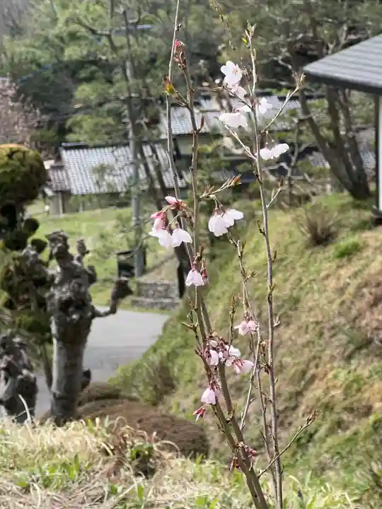 国宝 大法寺の自然
