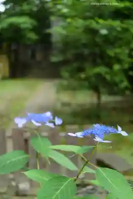 伊勢山皇大神宮(神奈川県)