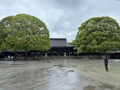 明治神宮(東京都)
