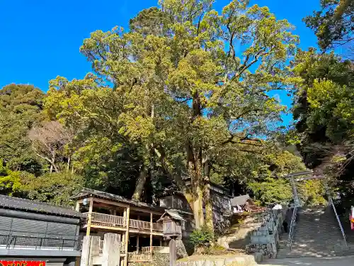 多度大社の自然