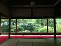 宝泉院の庭園