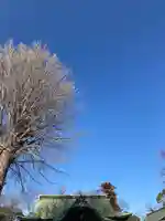 菊田神社のその他建物