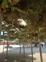 平安神宮(京都府)