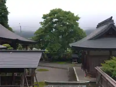 邇々杵神社(滋賀県)