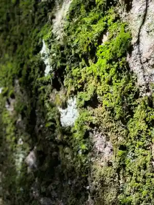 諏訪大社(長野県)