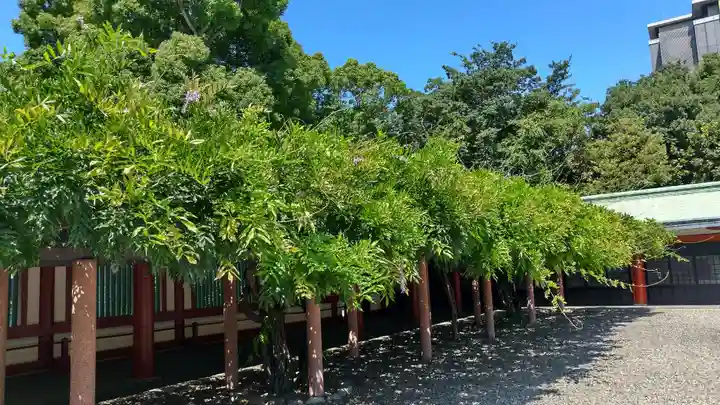 日枝神社(東京都)