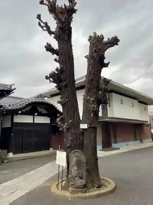 養昌寺(東京都)