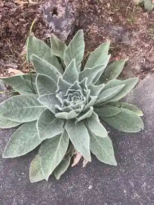 平泉寺(愛知県)