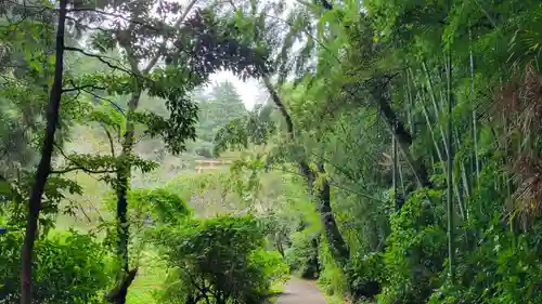 香取神宮の自然