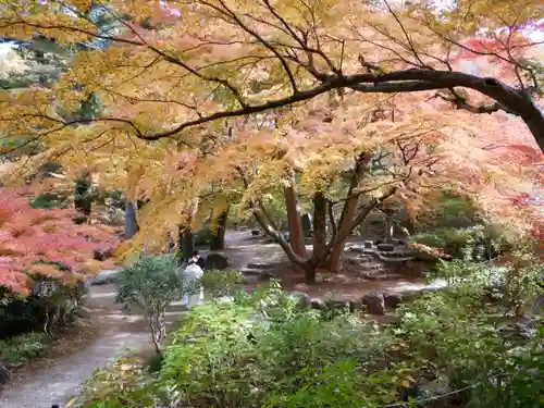 洞窟観音・徳明園・山徳記念館の景色