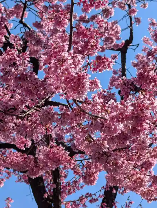 宝玉稲荷神社(神奈川県)
