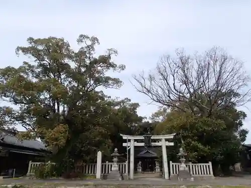 石上市神社の鳥居