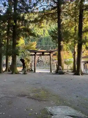 川上神社(徳島県)