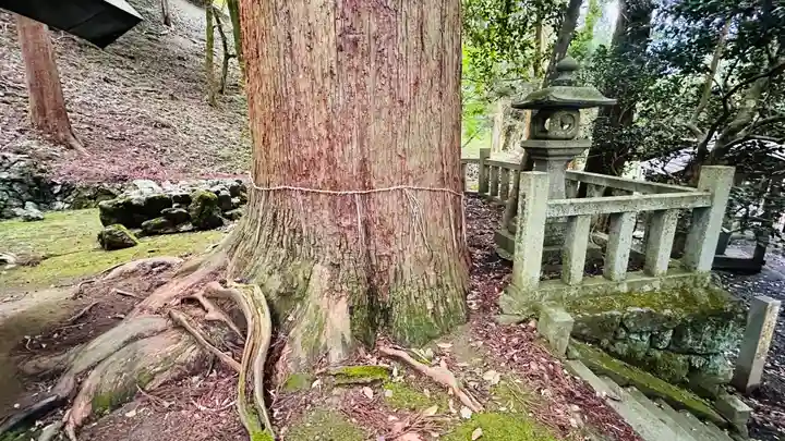 笛吹神社(京都府)
