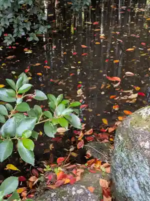 大正寺(東京都)