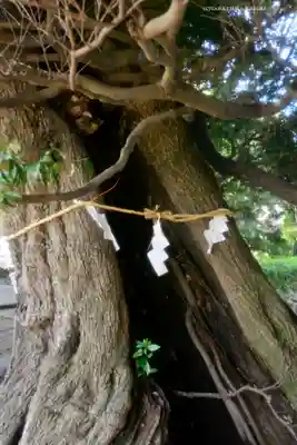 九重神社(埼玉県)