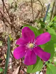 岡部春日神社～👹鬼門よけの🌺花咲く🌺やしろ～(福島県)