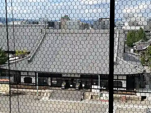 東本願寺（真宗本廟）の本殿・本堂