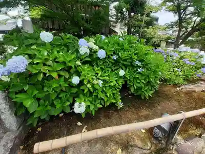 妙覺寺（妙覚寺）(京都府)