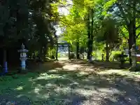 八坂神社(滋賀県)