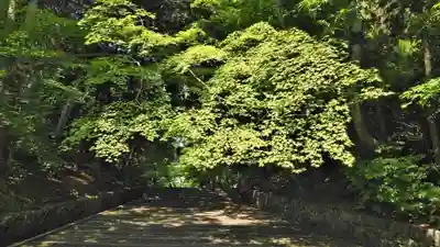 光明寺（粟生光明寺）のその他建物