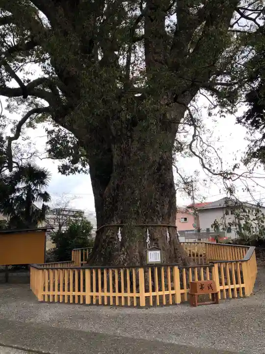 伊勢神明社の自然