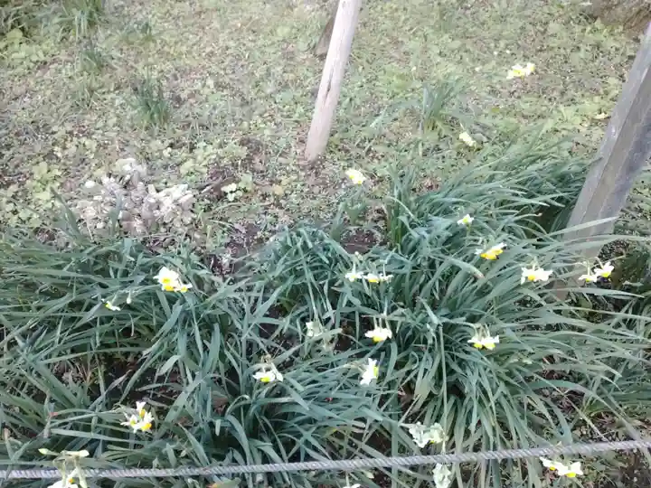 瑞泉寺(神奈川県)