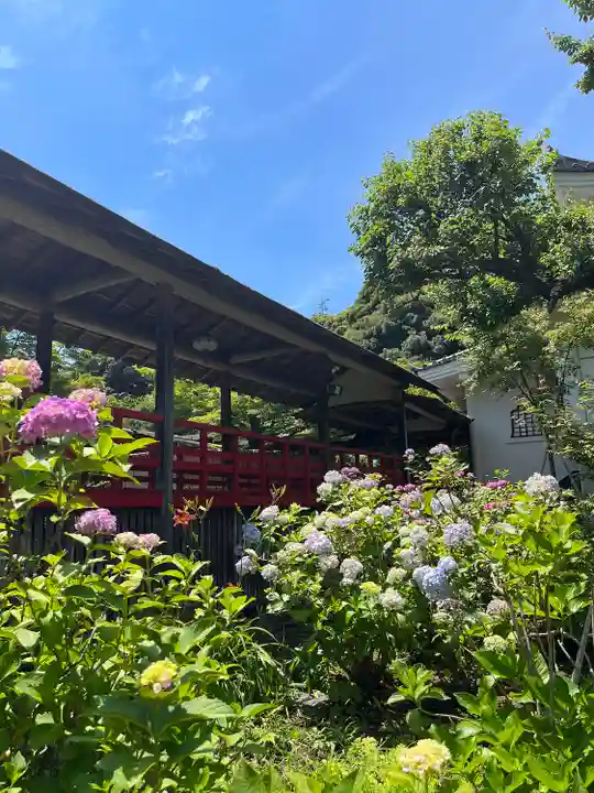 本土寺(千葉県)