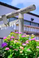 川越熊野神社(埼玉県)