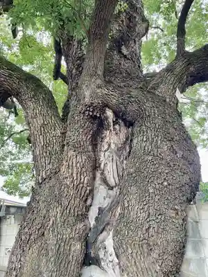 感應寺(東京都)