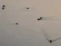 大龍寺(奈良県)