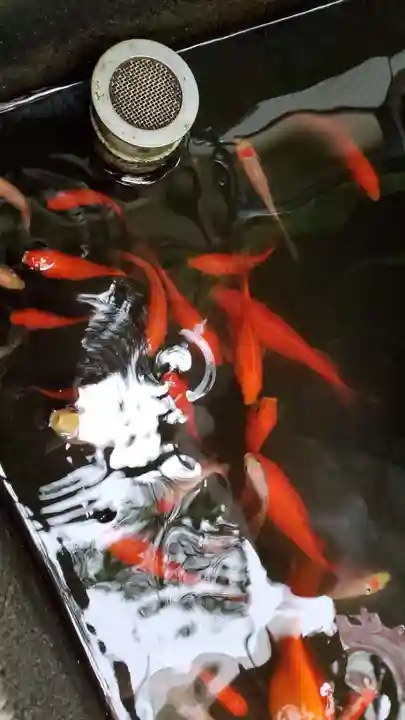 翁稲荷社の動物