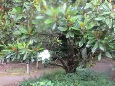 蚶満寺(秋田県)