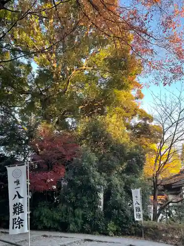 阿佐ヶ谷神明宮(東京都)
