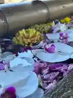 群馬県護国神社(群馬県)