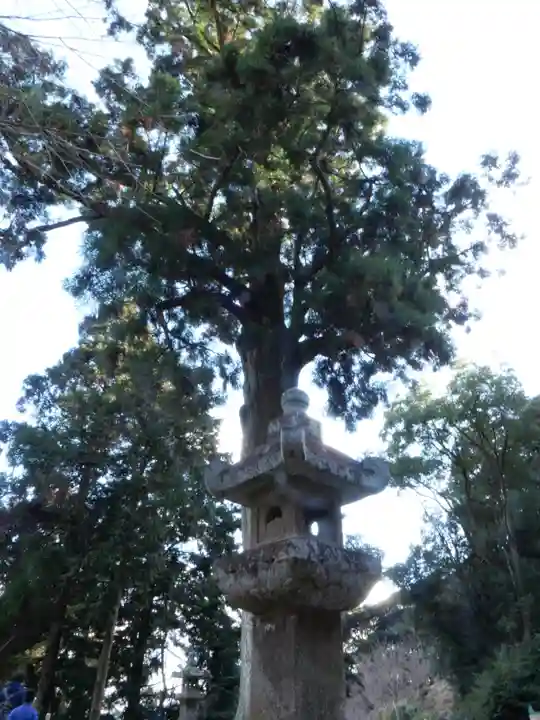 普門寺(切り絵御朱印発祥の寺)のその他建物