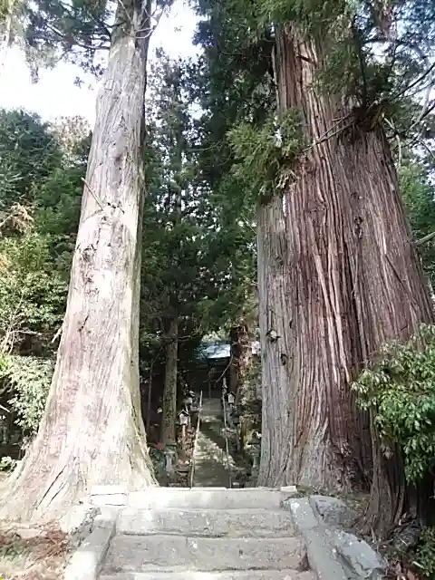 鹿島大神宮の自然