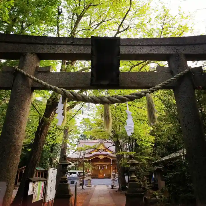 小金井神社(東京都)