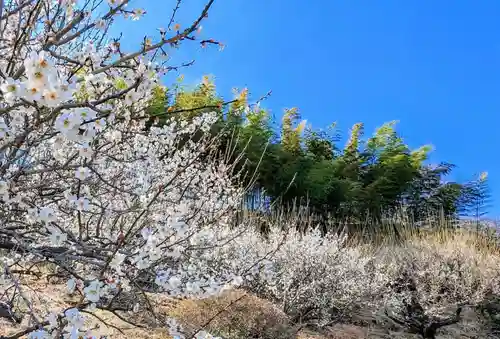 金蛇水神社(宮城県)