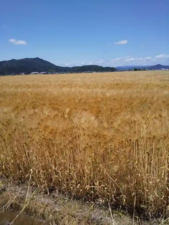 明智神社の周辺