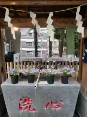 高円寺氷川神社の手水