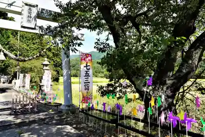 高司神社〜むすびの神の鎮まる社〜の鳥居