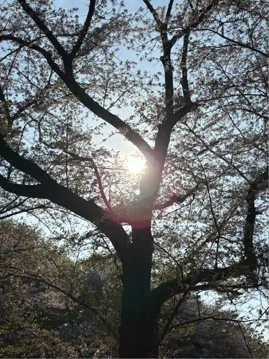 東蕗田天満社(茨城県)