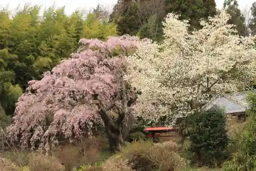 瑞雲寺の景色