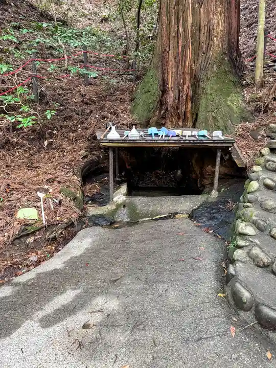 天岩戸神社(宮崎県)