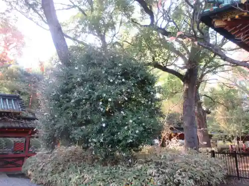 根津神社(東京都)