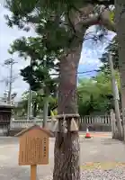 東山菅原神社(石川県)