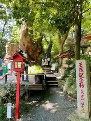 來宮神社(静岡県)