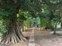 鹿島神社(千葉県)