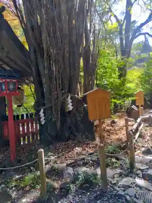 貴船神社(京都府)